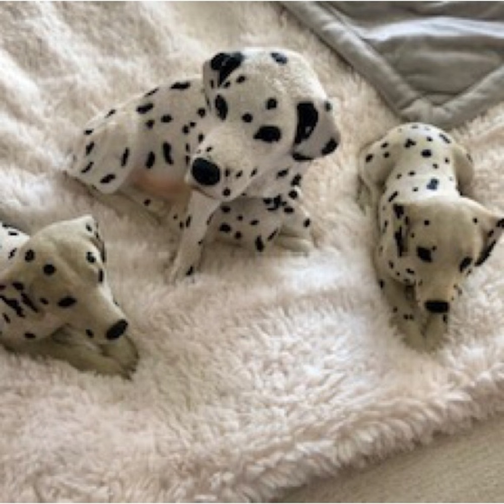 NWT Vintage 1986 hand painted Sandicast DALMATIAN DOGS Signed by Sandra Brue